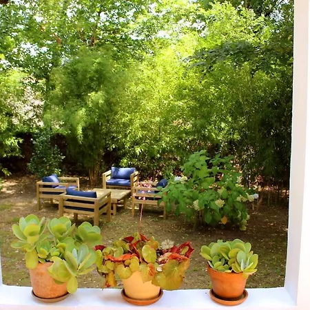 Villa Yuja's Garden